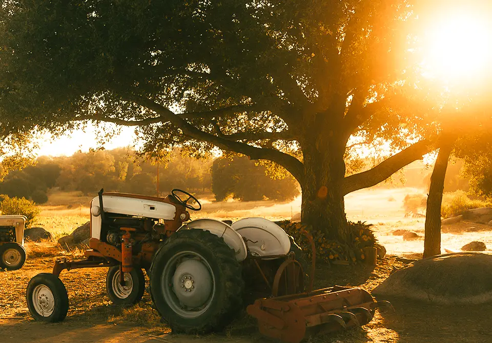 Hot summer evening in Texas, with sun shining thru trees and spilling onto an old tractor