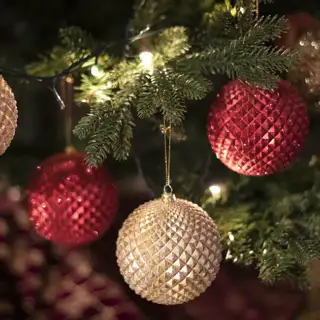 Ornaments on a Christmas tree